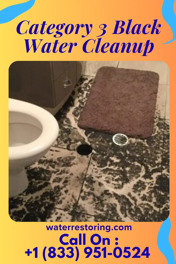 Category 3 Black Water Cleanup in Jacinto City, TX