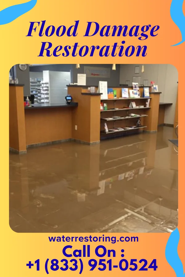 Flood Damage Restoration in Jacinto City, TX