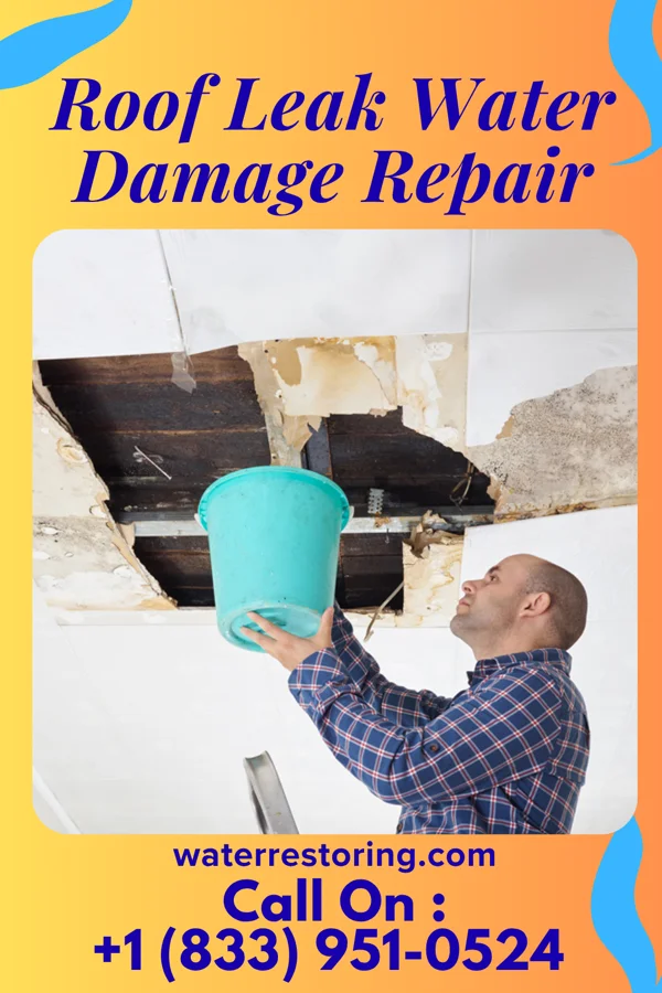 Roof Leak Water Damage Repair in Jacinto City, TX