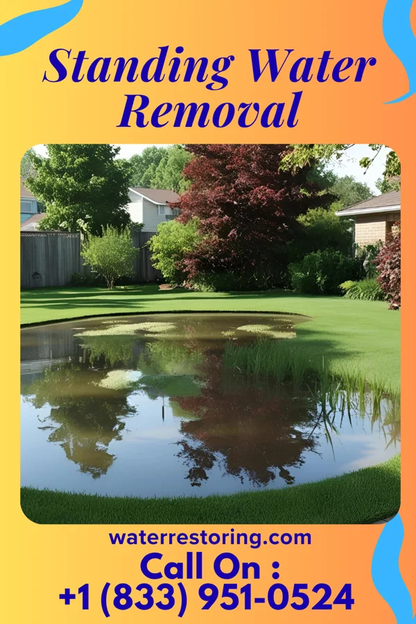 Standing Water Removal in Jacinto City, TX